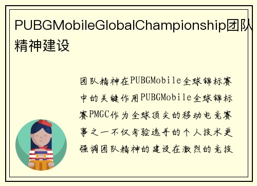 PUBGMobileGlobalChampionship团队精神建设