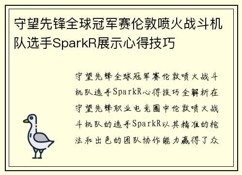 守望先锋全球冠军赛伦敦喷火战斗机队选手SparkR展示心得技巧