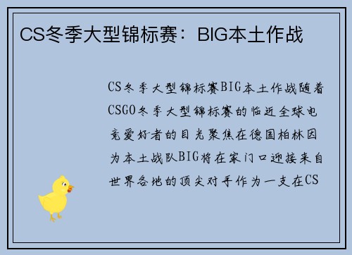CS冬季大型锦标赛：BIG本土作战